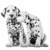 Kép 1/2 - Paper+Design BIO Tissue Szalvéta, Dalmata kutya mintás, 33 x 33 cm, 3-rétegű