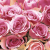 Kép 1/3 - Paper+Design Tissue Szalvéta, Pink rózsás mintás, 33 x 33 cm, 3-rétegű