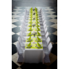 Kép 3/3 - Dunicel® Asztali futó 3in1 kiwi, 0,4 x 4,8 m