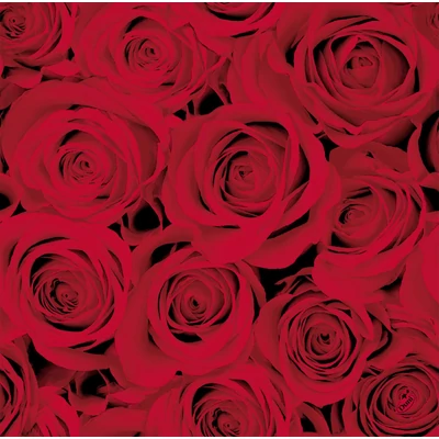 Dunisoft® Szalvéta textil hatású, mintás, 40 x 40 cm