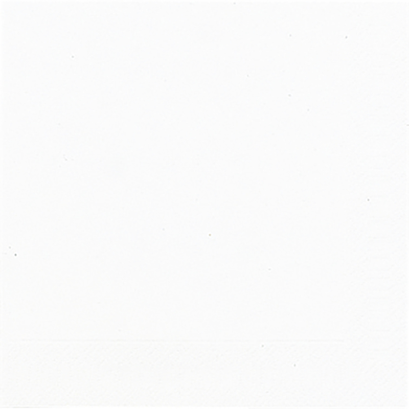 Bio Tissue Szalvéta, fehér, 33 x 33 cm, 3-rétegű