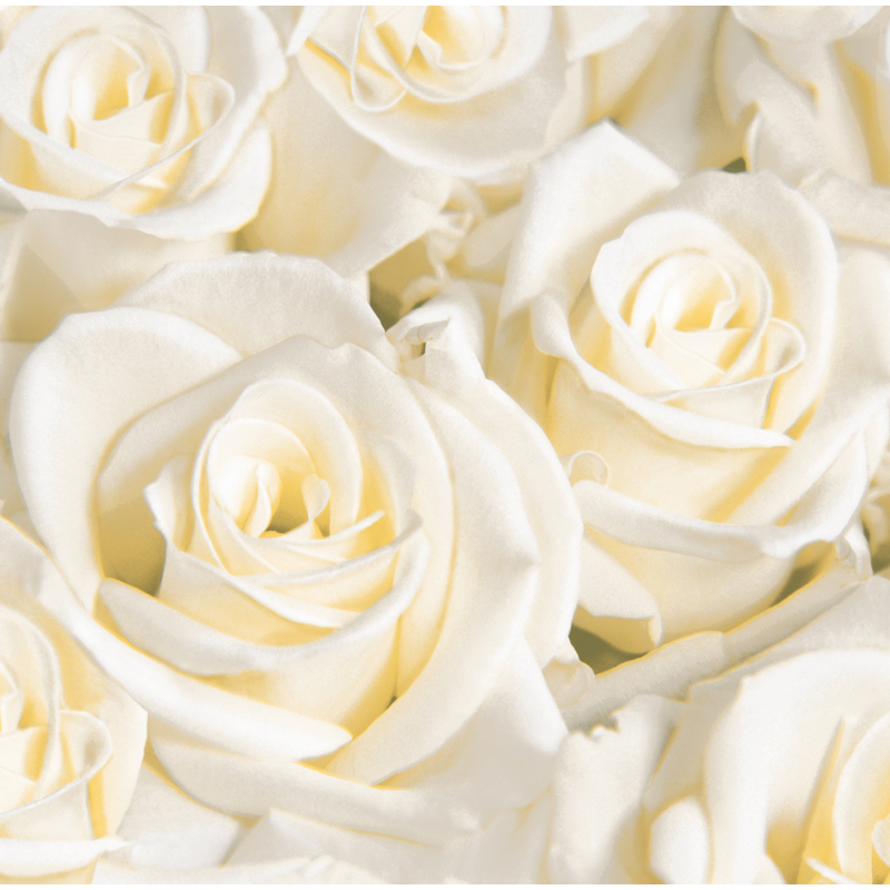 Dunisoft ® textil hatású fehér rózsa mintás Szalvéta, 40 x 40 cm