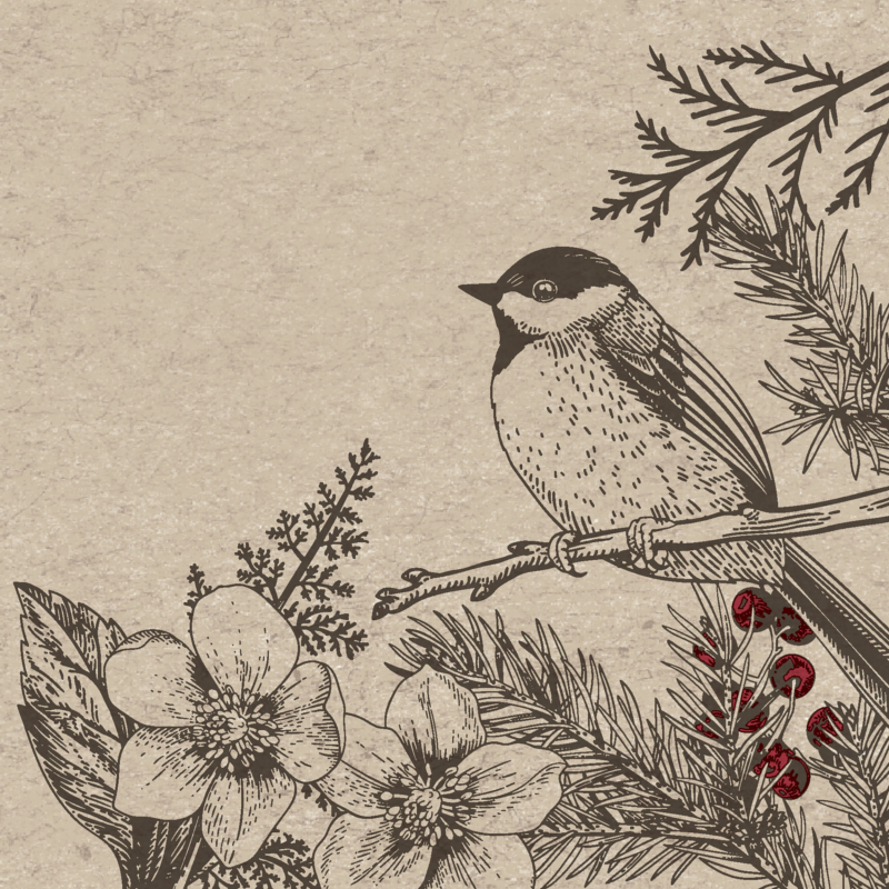 Paper+Design® Újrahasznosított Tissue karácsonyi Szalvéta, faágak, bogyó, madár natúr mintás, 24 x 24 cm, 2-rétegű