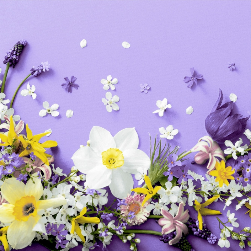 Paper+Design Tissue Szalvéta, lila, virágos mintás, 24 x 24 cm, 3-rétegű